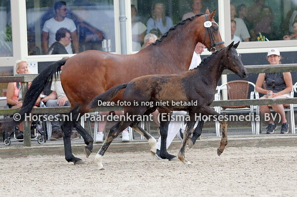 85 Voila (Sarai L x L'Esperanza v. Blue Hors Zack)