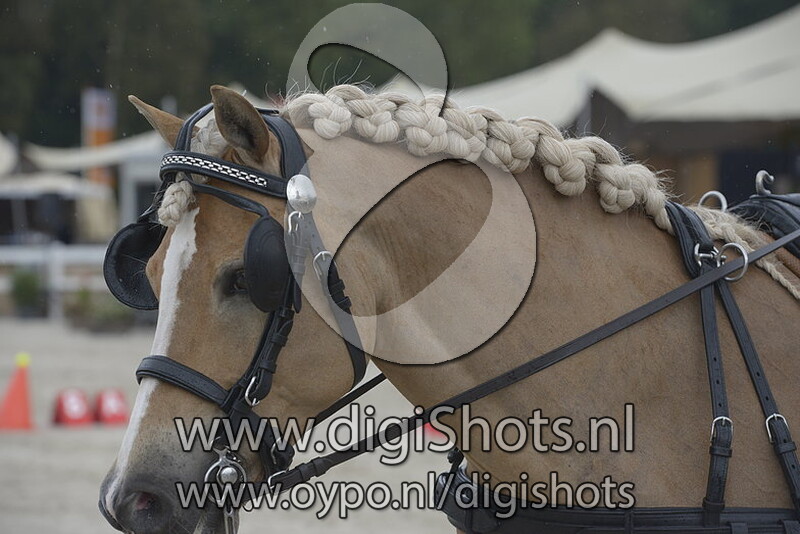 Mariska Van Eijsden Mens