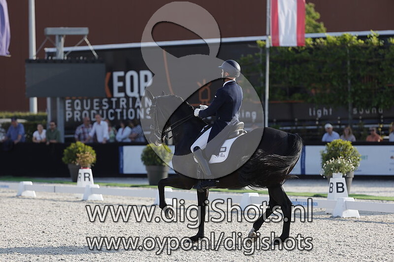 Kryptonite van de Performing Stables