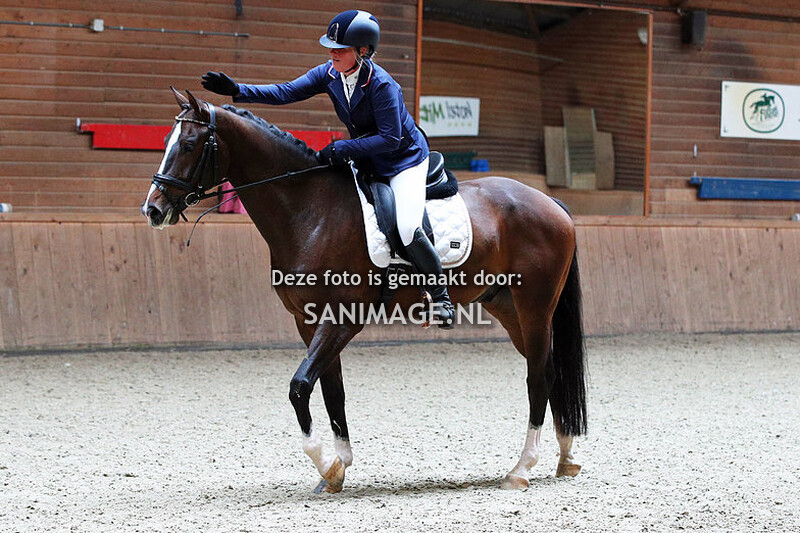 PV Midland Dressuur 08-10-2023 Paarden L