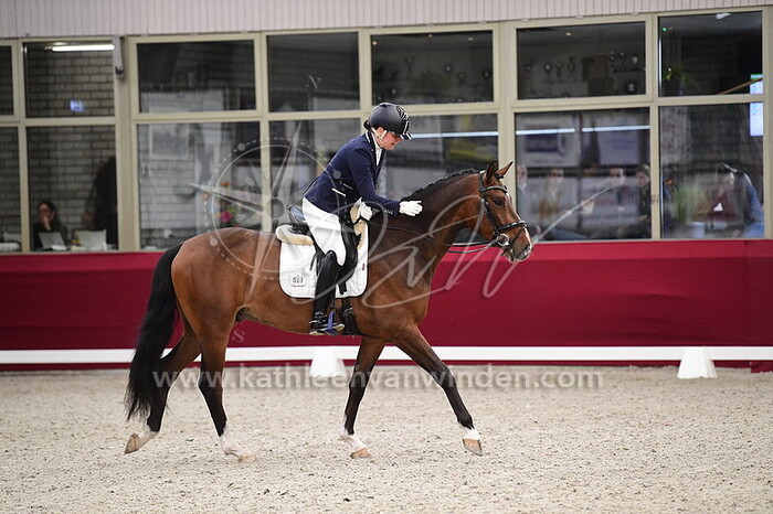 Marije Willems - Prince Daula