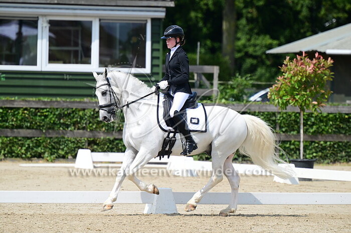 Feline Holdinga - Renoir