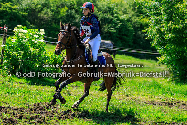 SGW Vinkega 11-06-22