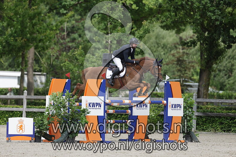 Palmares van de wildbaan