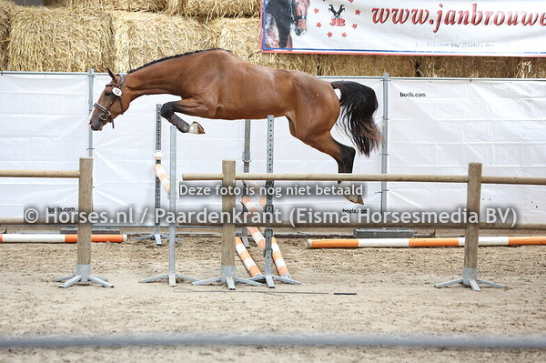 12 Suberlina Concorde (Grandorado TN x Zubeerlina Rosalino) (1)