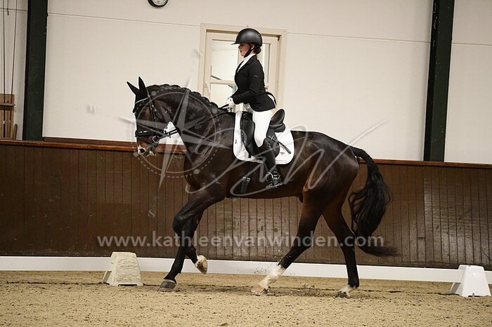 Ilia van Grinsven - Pompidou van t' Hemelhof