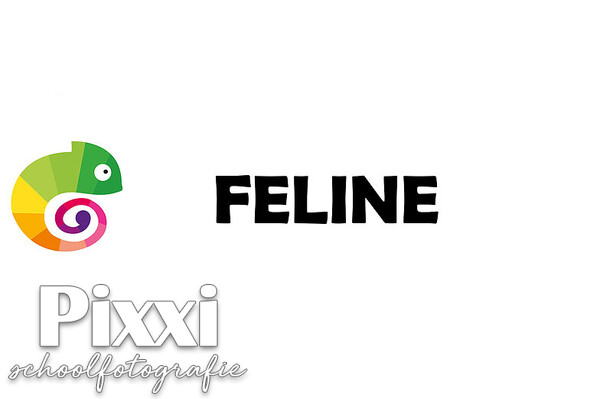Feline