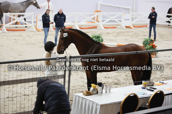 155 (Tokyo du Soleil x Numero Uno)