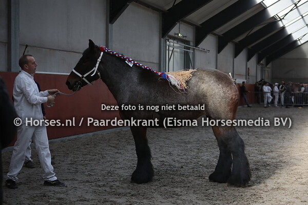 35 Colette van Vrilkhoven (Siem van de Dekkershoef x petra van Gunterslaer)