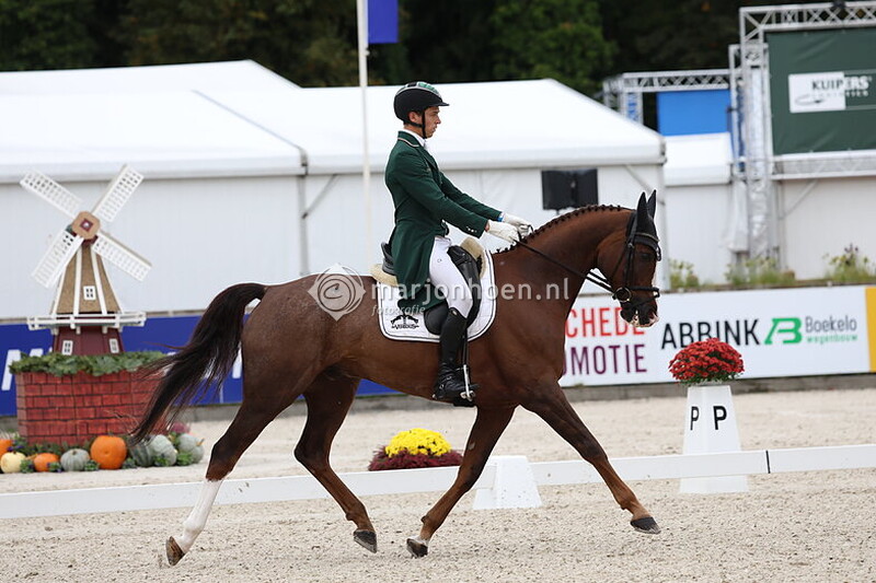 2000-BOEKELO_DRESSAGE_10-10-2025