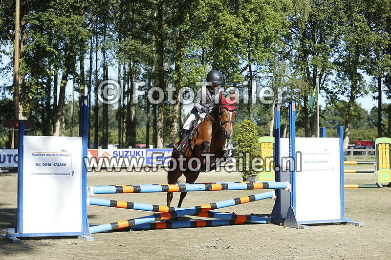 annelyn van der arend