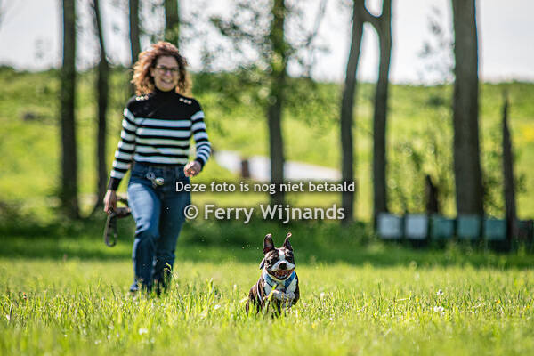 van Frieslands Glorie