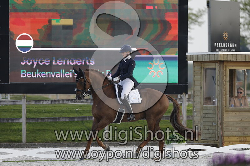 Beukenvallei's Iconic B