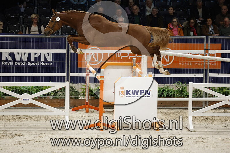 Richman v. Emerald Van 't Ruytershof - 063