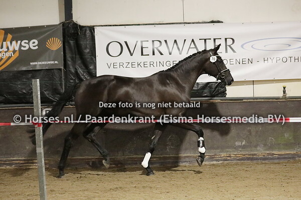 70 O Lilly (For Romance x Wynona v. Gribaldi)