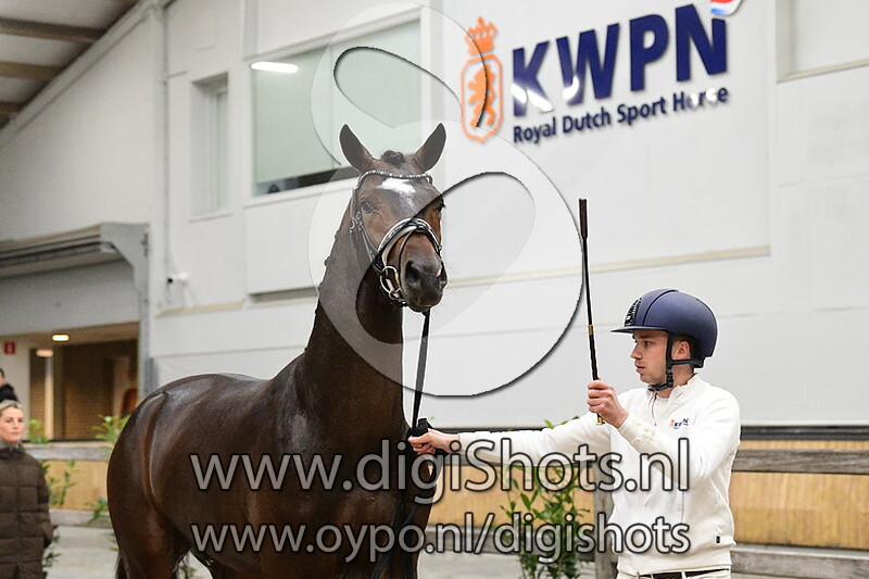 Ramblas v. Lantanas - 444