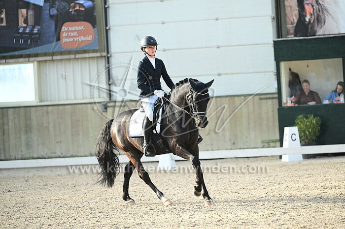 Sophie van Zutphen - Seppelines Malenco