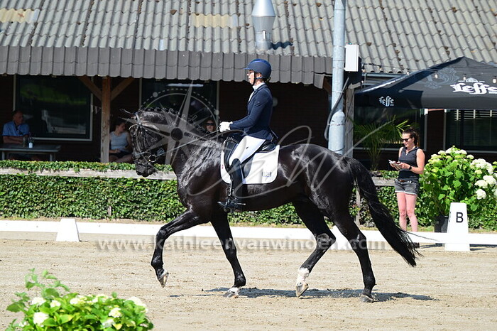 Marjolein de Jong - Orlandeaux M