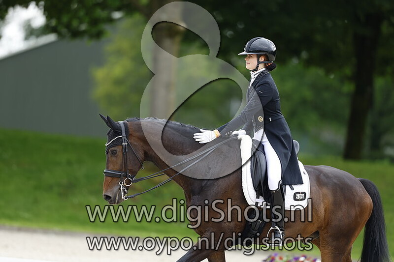 Straight Horse Don Zuan