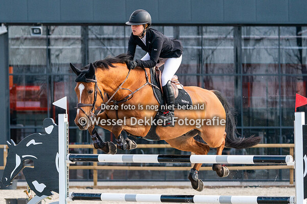 15-03- 2025 Jumping Reyerparc Ridderkerk