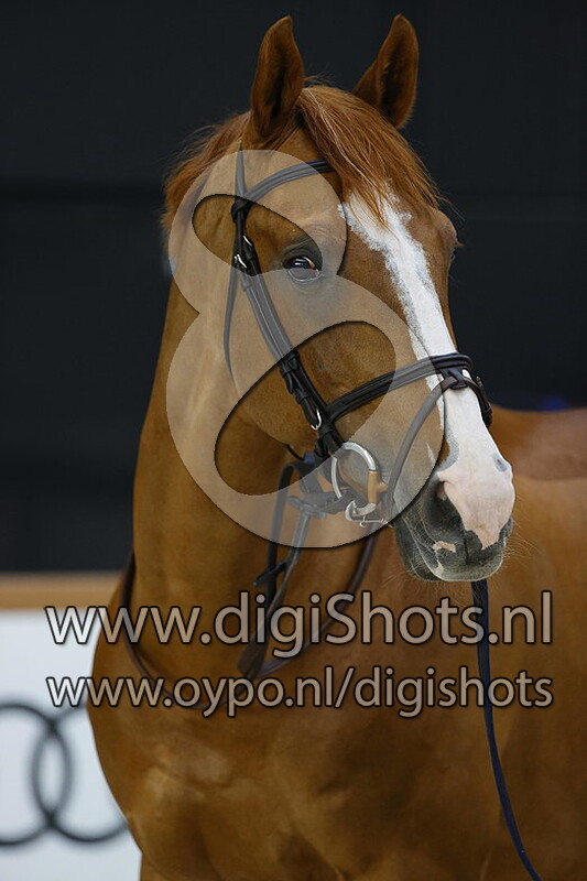 Scuderia 1918 Tobago Z