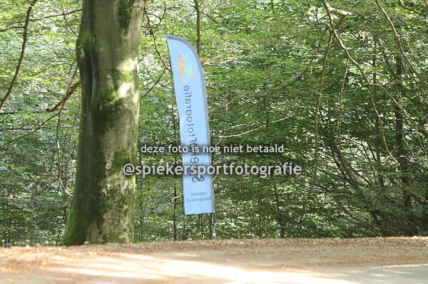 Posbankloop Velp 6 Km 2024