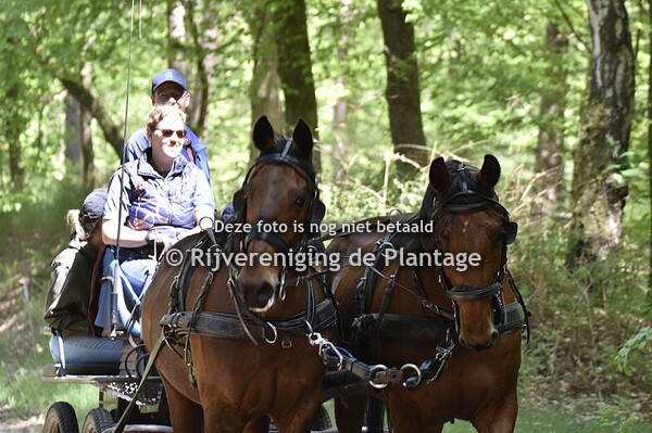 Puzzelrit rijvereniging de Plantage 