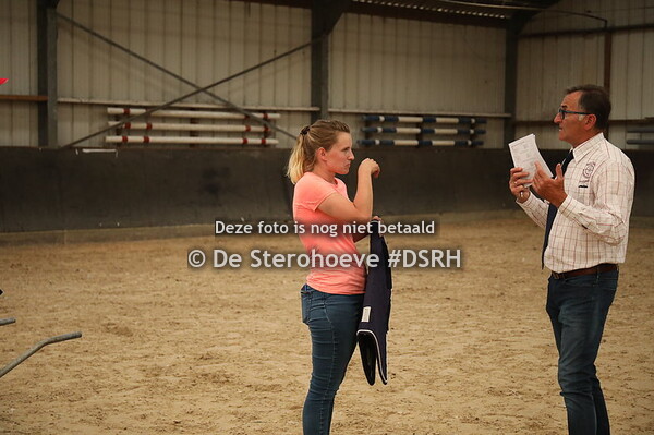 6. en 7. vrijbewegen dressuur