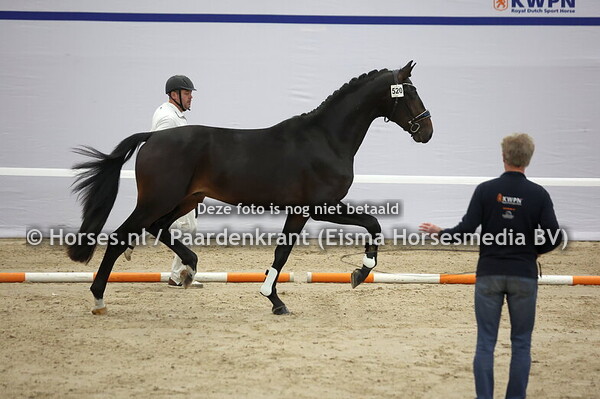 520 (Total Mclaren x Apache)