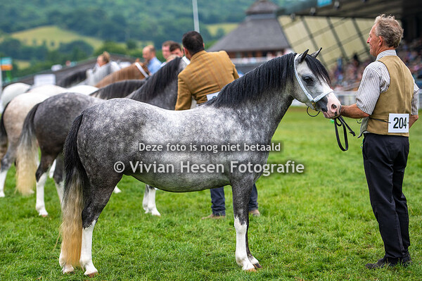 Section B Youngstock Championship