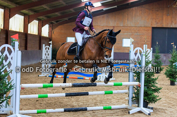 Indoor SGW Springen Paard BB 29-12-24