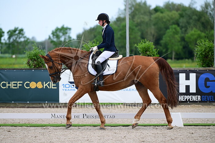 Davitha Hollander - Dolly