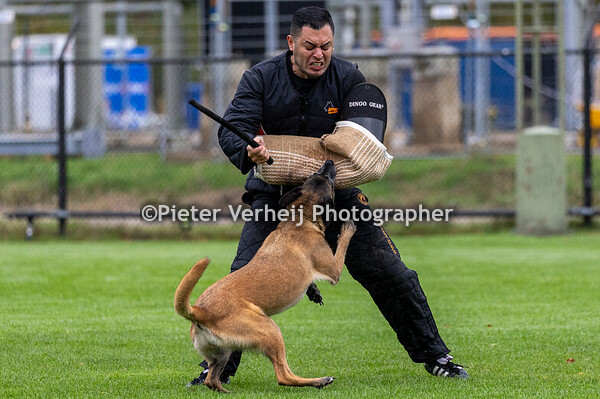 Sico goedhart met Blöf vom puren Leben