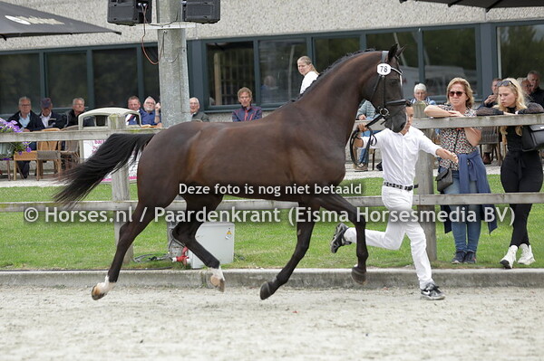 78 Guance (Ampere x Nuance v. Contango)