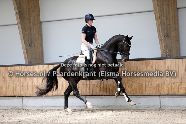 14-05-2024 KWPN VO dressuur + fokkers