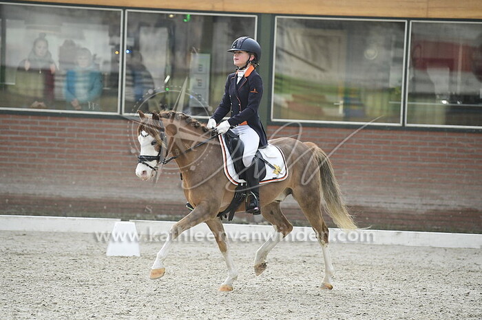 Michou van Eijden - Aladin