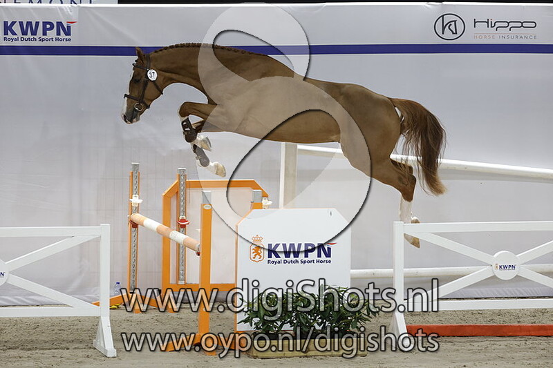 Corbain WS Z v. Casallo Z