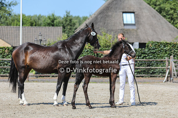 64. Aef van Raepshille