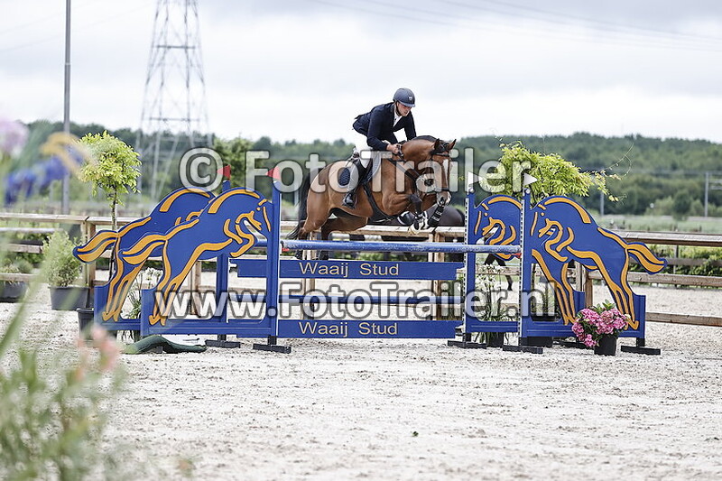 olivier van der vaart