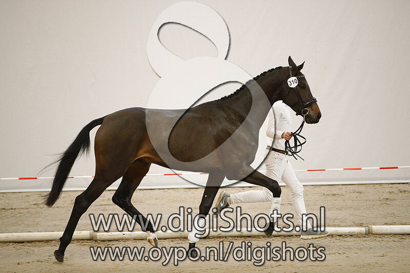 310 Lafite v. Bordeaux