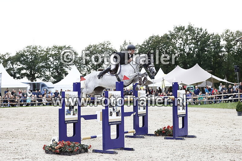 dennis van den brink