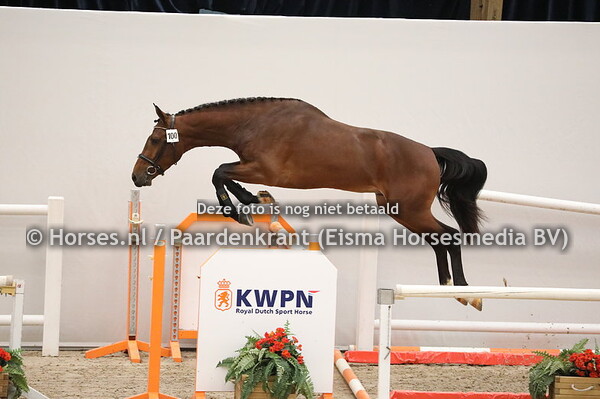 100 Grandorado TN x Heartbreaker