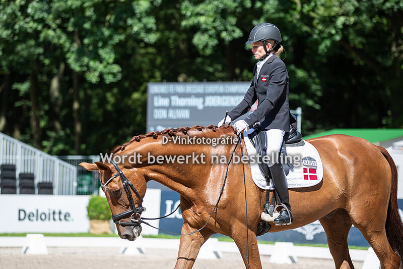 Line Thorning Jorgensen Don Alivan