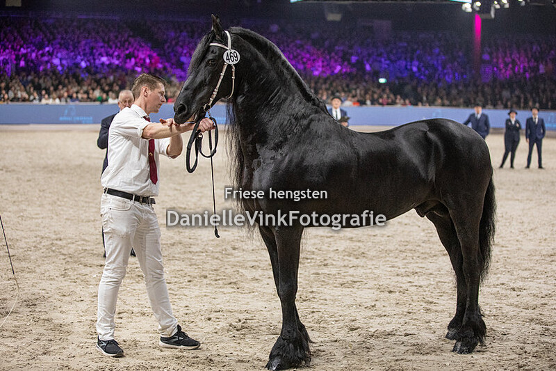 Hengstenkeuring 2024 Alwin 469