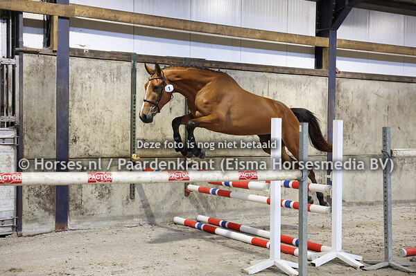 1 Special delivery (Apardi x Flash Dance v. Cantos)