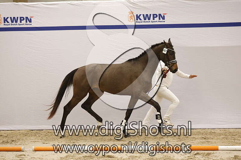 Serengeti Rooz v. Revolution