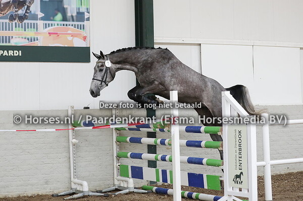 7 Ouke (Kannan x Kamara v. Tallmann)