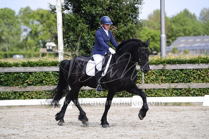 Amy de Vries - Limitrans Arie