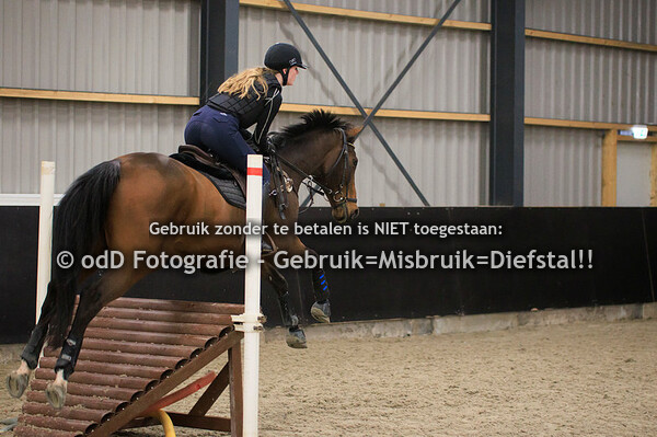 Groep 7 15:45 Vera Grevelink