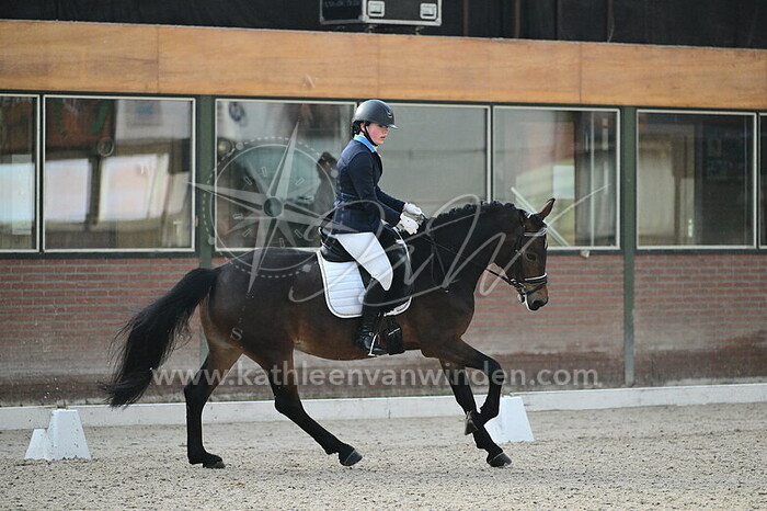 Demi Polfliet - Silva